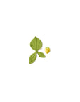 Lemon Mini Doudou-Teether