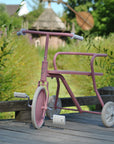 Foxrider Pink Power