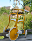 Foxrider Yellow Sun