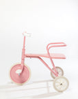 Foxrider Pink Power