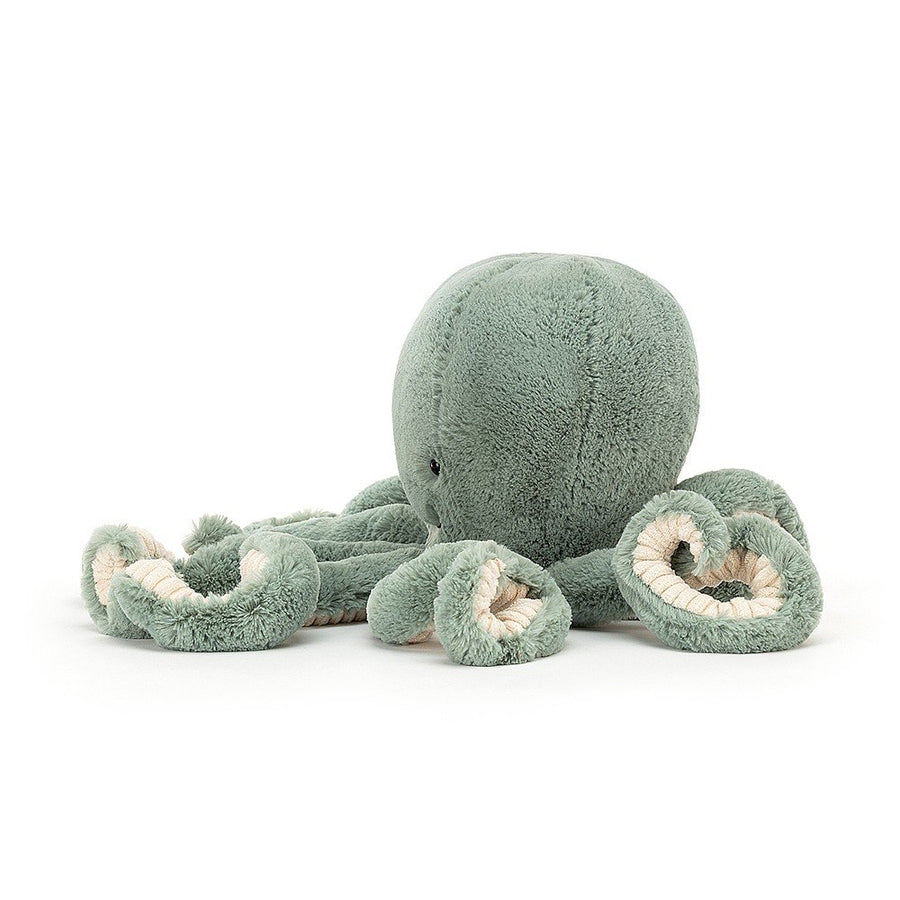 Odyssey Octopus Little